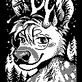 avatar for astrodeerb