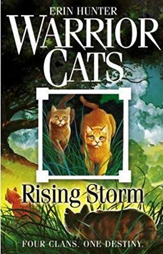 Erin Hunter: Rising Storm (Paperback, HarperCollins Children's Books, imusti)