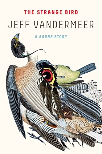 Jeff VanderMeer: The Strange Bird: A Borne Story (Paperback, MCD x FSG Originals)